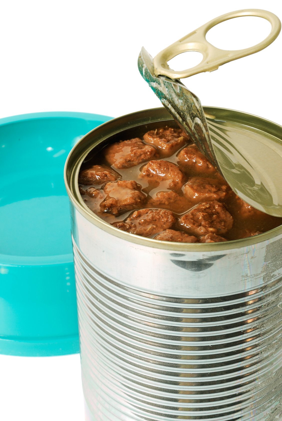 أفضل طعام معلب للقطط في السعودية