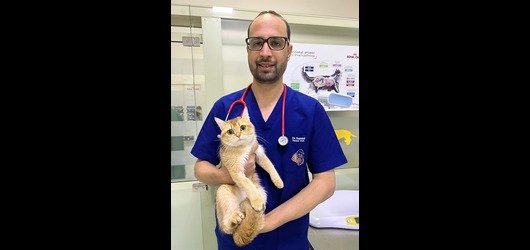 ابحث عن عيادات بيطرية موثوقة في جميع أنحاء المملكة العربية السعودية