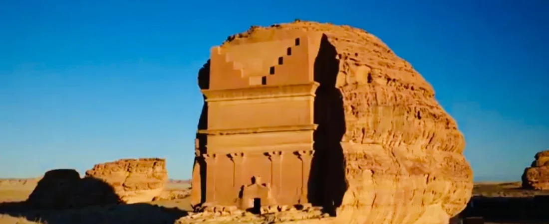 القطط الشيرازي: لماذا تحظى بهذا الحب الكبير في السعودية؟