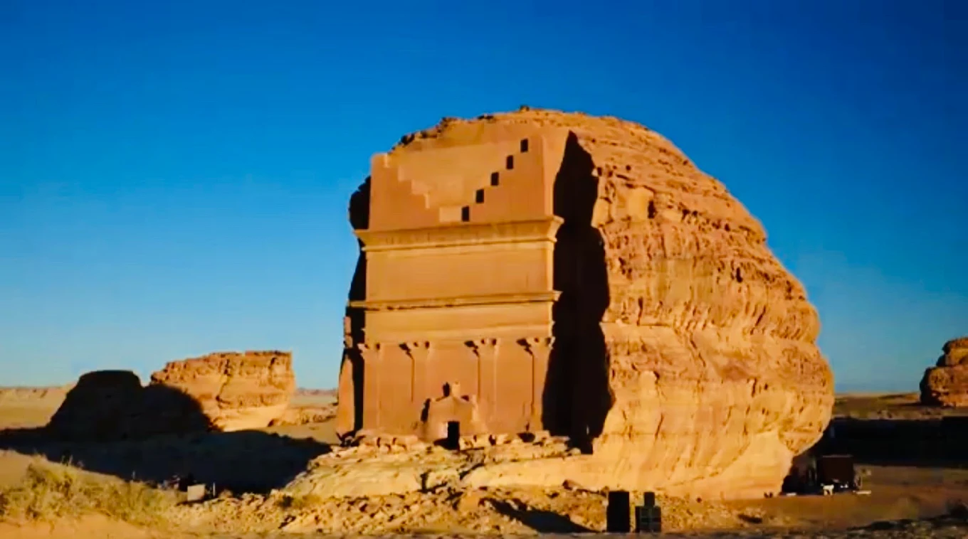 القطط الشيرازي: لماذا تحظى بهذا الحب الكبير في السعودية؟